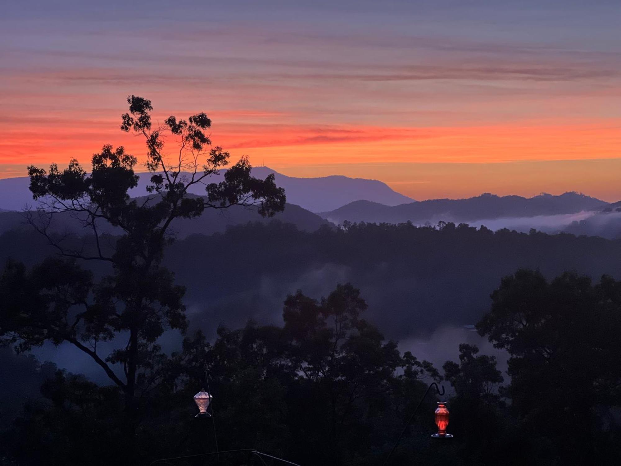 Smoky Best - Glowing Twilight Pigeon Forge Exteriör bild